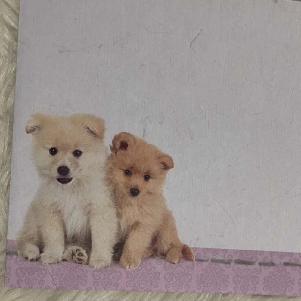 6 birthday card bundle cuddly puppy/kitten with matching print envelopes